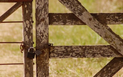 LOCKED OUT? THE COURT OF APPEALS DECIDES WHETHER AN UNLOCKED GATE CAN BE INSTALLED WITHIN AN EASEMENT