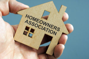 Livonia Condominium and Homeowners Association Lawyers